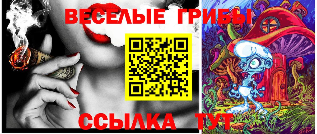 Галлюциногенные грибы GOLDEN TEACHER Протвино